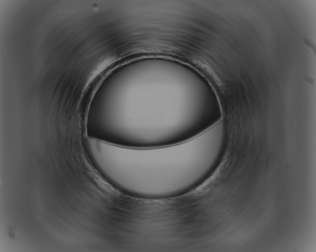X0000093151114200709261011