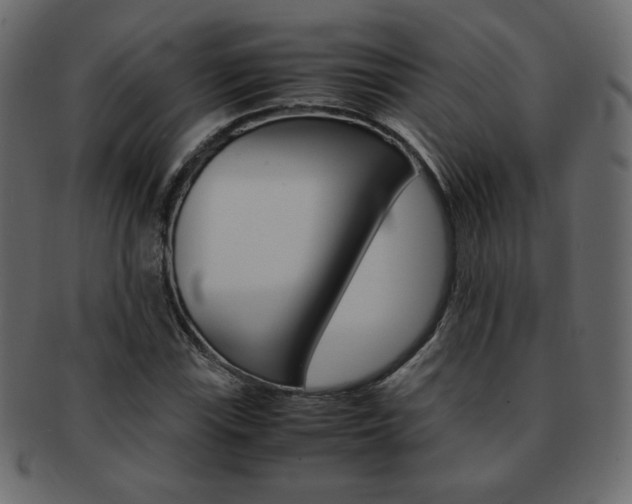 X0000093151115200709261011