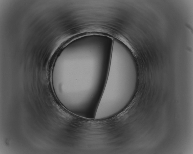 X0000093151116200709261011