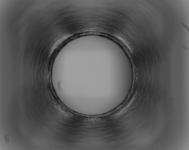 X0000093151117200709261011