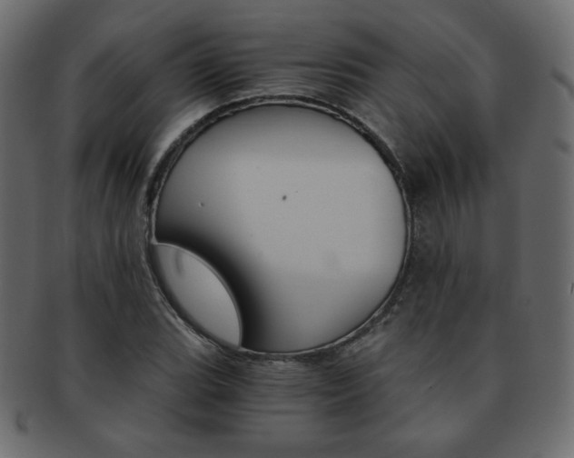X0000093151119200709261011