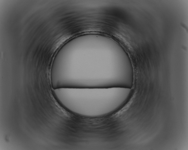 X0000093151121200709261011