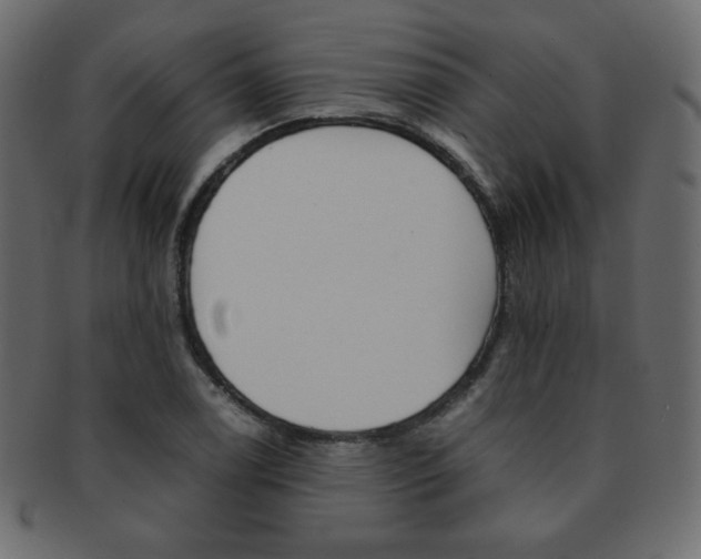 X0000093151122200709261011