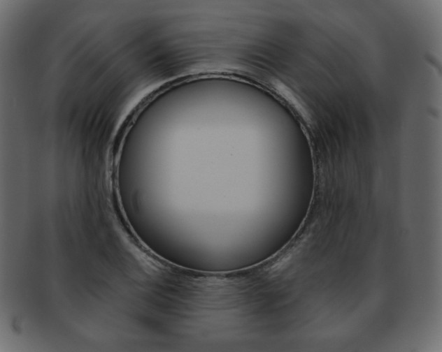 X0000093151124200709261011