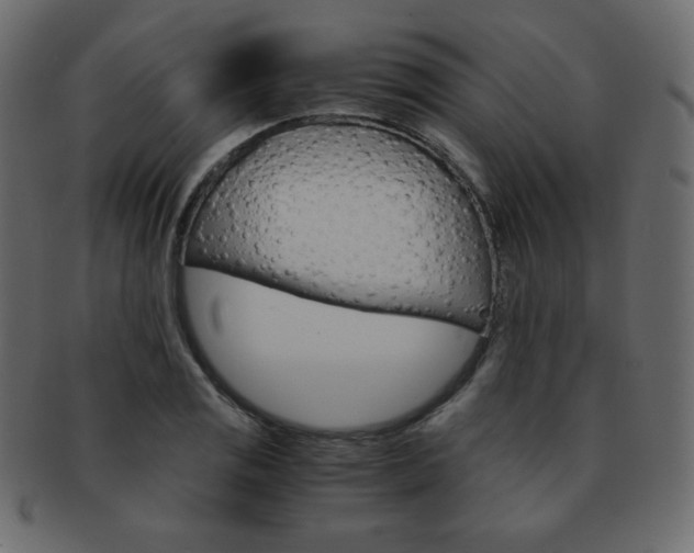 X0000093151125200709261011