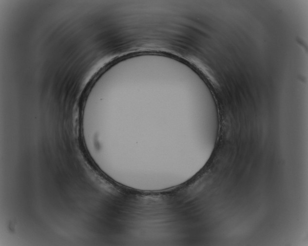 X0000093151126200709261011