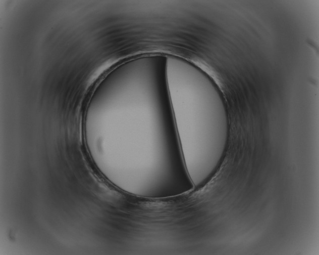 X0000093151127200709261011