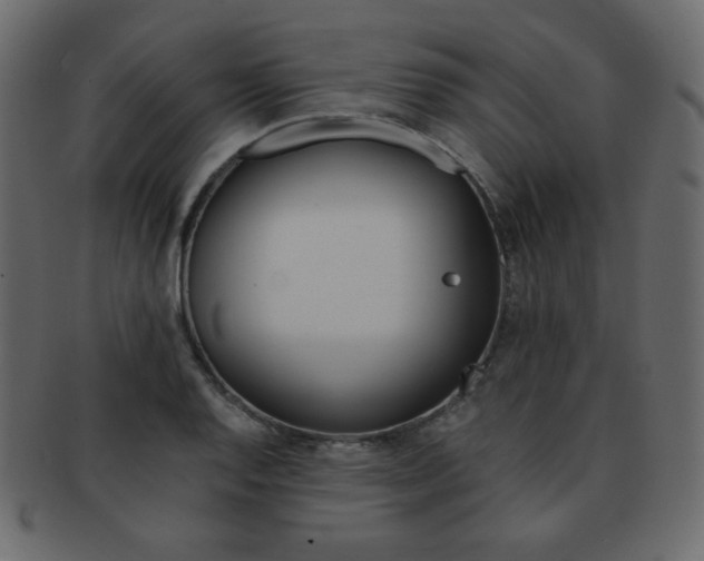X0000093151128200709261011