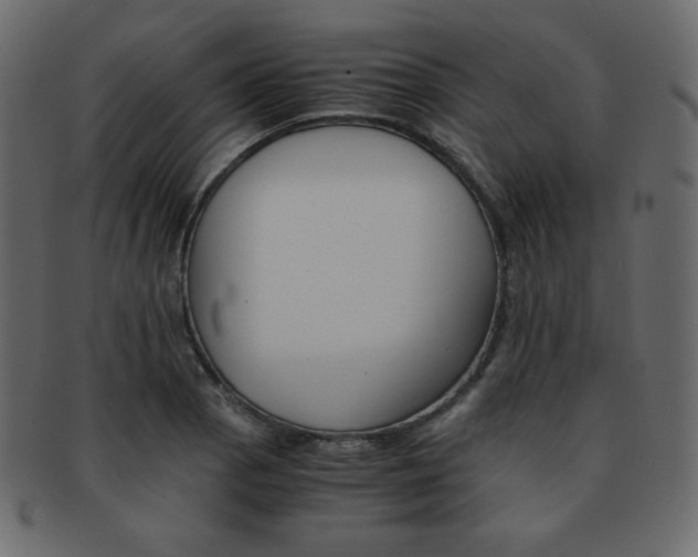 X0000093151129200709261011