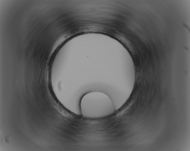 X0000093151130200709261011
