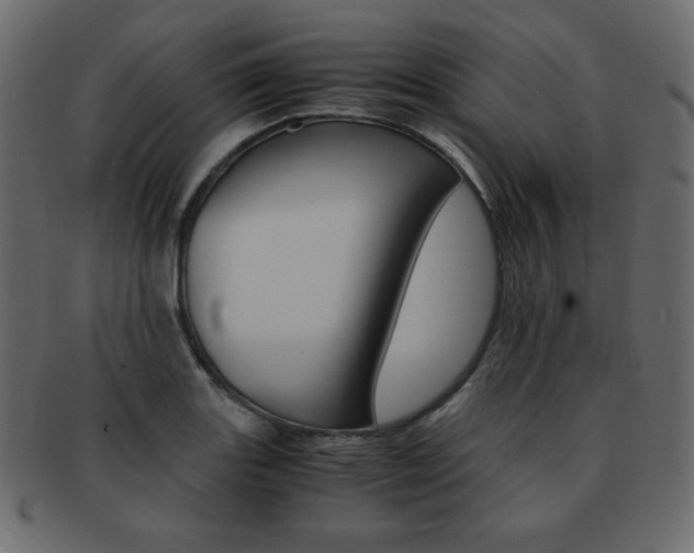 X0000093151131200709261011