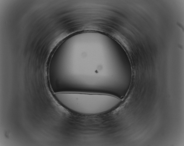X0000093151133200709261011