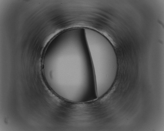 X0000093151134200709261011