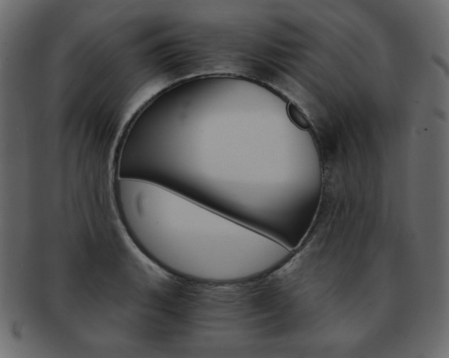 X0000093151135200709261011