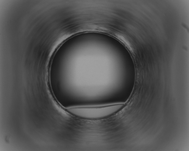 X0000093151136200709261011