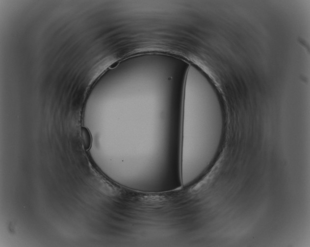 X0000093151137200709261011