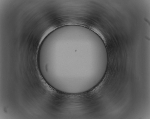 X0000093151138200709261011