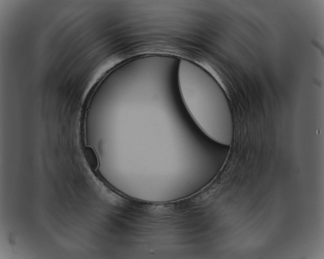 X0000093151139200709261011