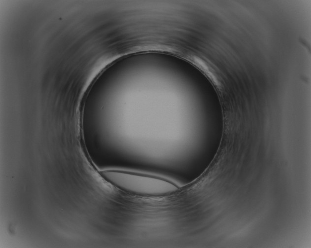 X0000093151140200709261011