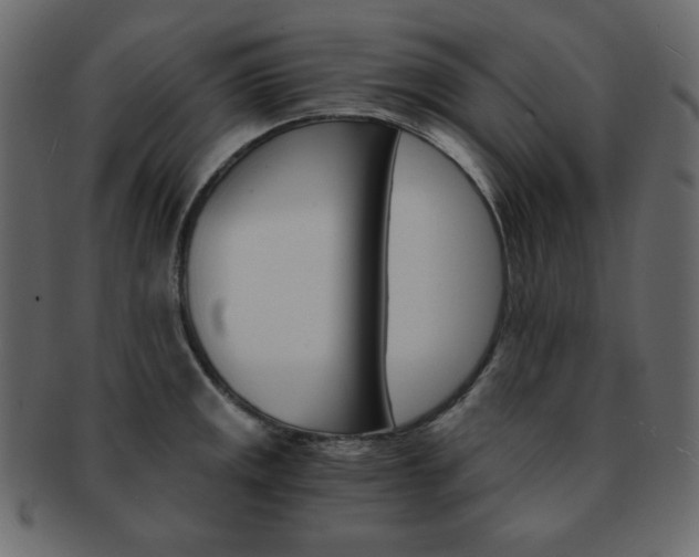 X0000093151141200709261011