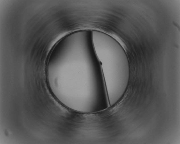 X0000093151142200709261011