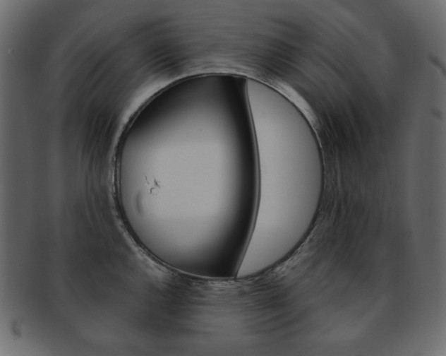 X0000093151144200709261011