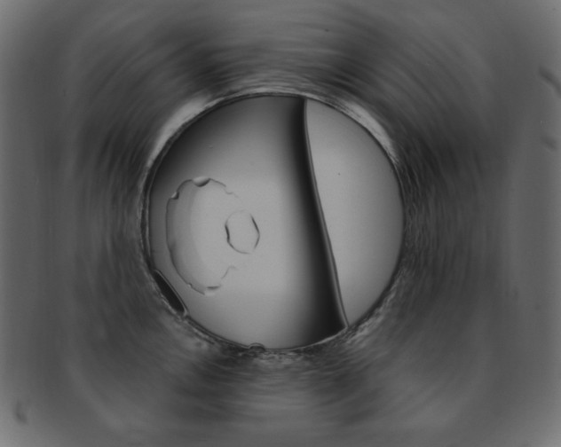 X0000093151146200709261011