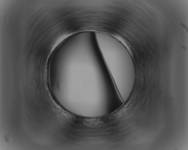 X0000093151147200709261011