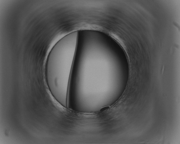 X0000093151152200709261011