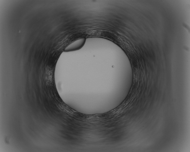 X0000093151154200709261010