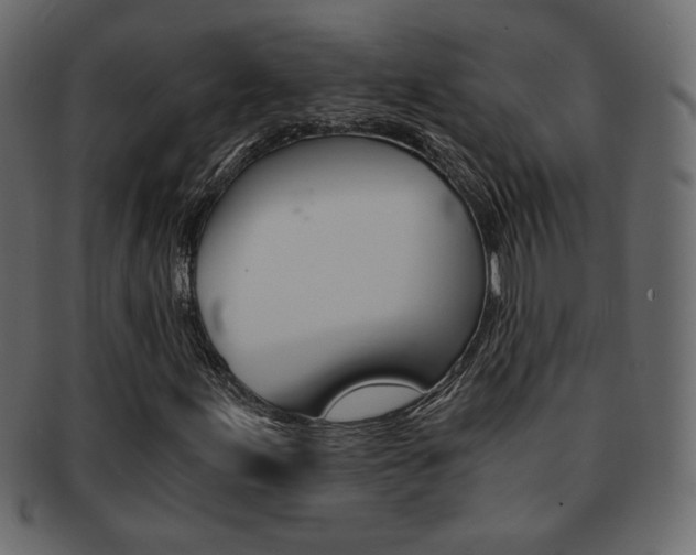 X0000093151155200709261010
