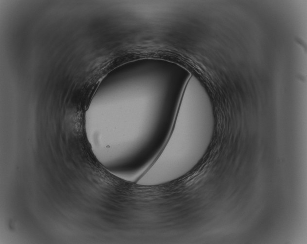 X0000093151156200709261010