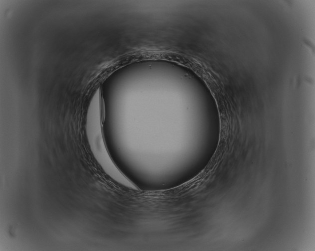 X0000093151157200709261010