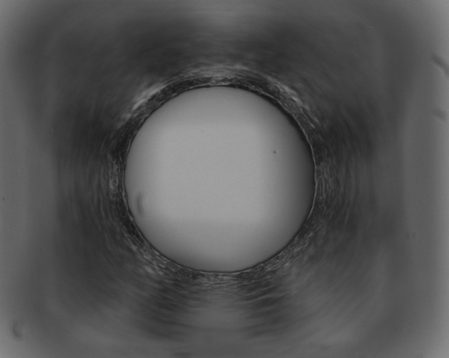 X0000093151158200709261010
