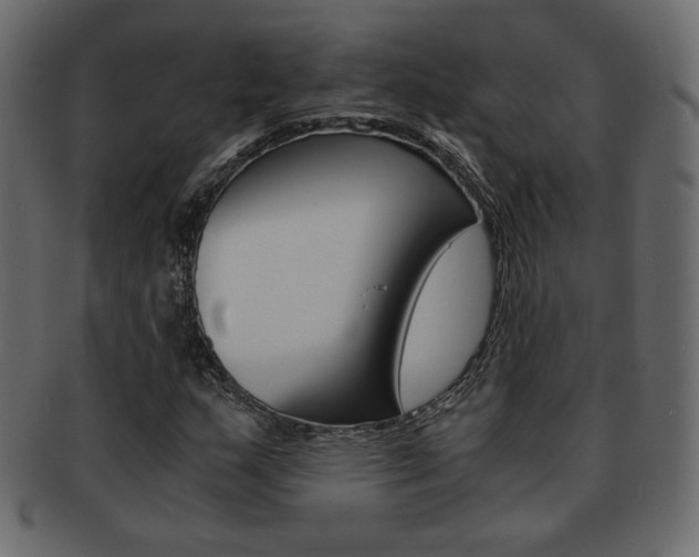 X0000093151159200709261010