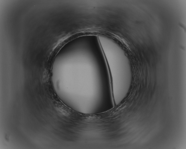 X0000093151160200709261010