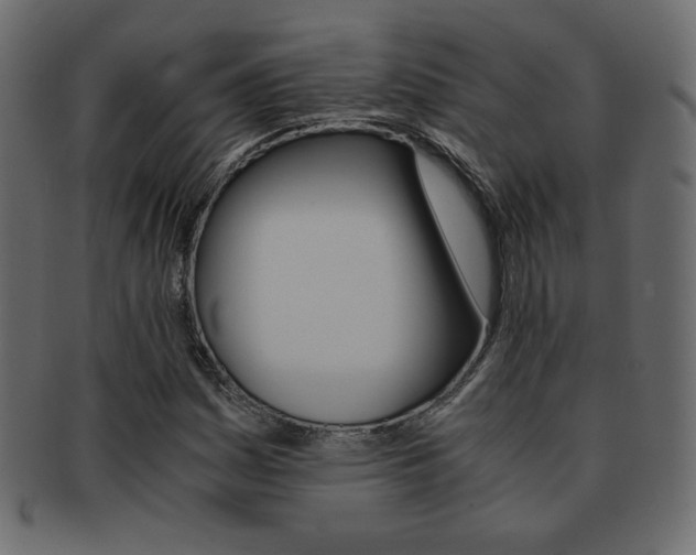 X0000093151161200709261010