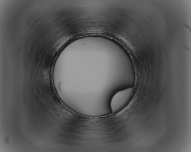 X0000093151162200709261010