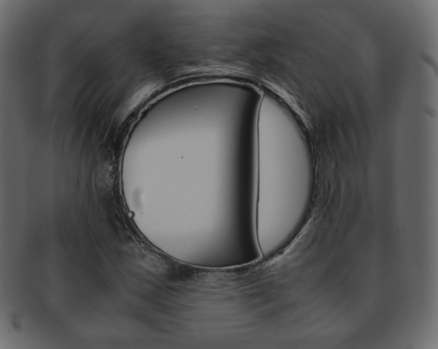 X0000093151163200709261010