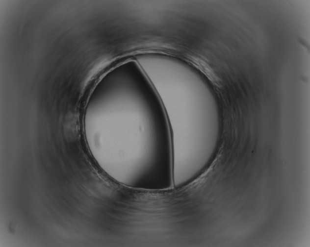 X0000093151164200709261010