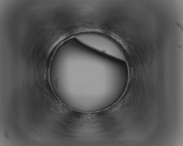 X0000093151165200709261010