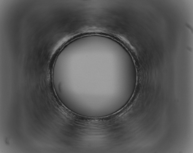 X0000093151167200709261010