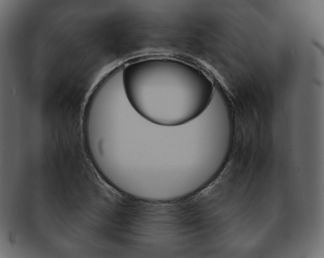 X0000093151168200709261010