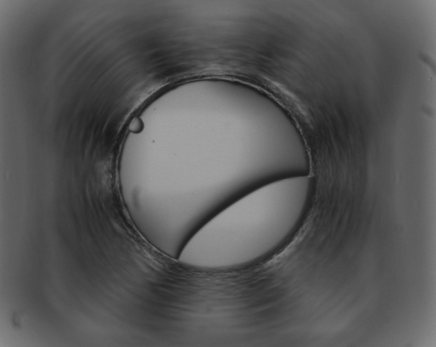 X0000093151170200709261010