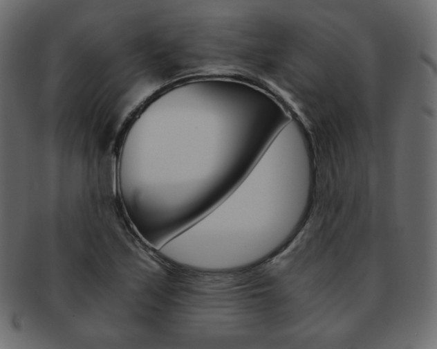 X0000093151171200709261010