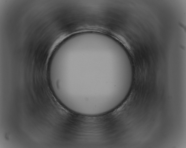 X0000093151172200709261010