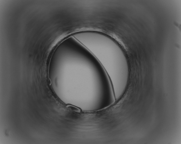 X0000093151173200709261010