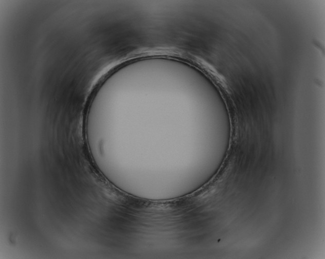 X0000093151174200709261010
