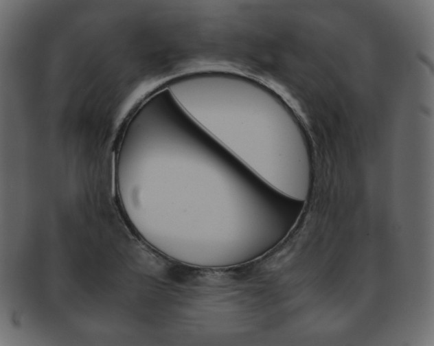X0000093151175200709261010