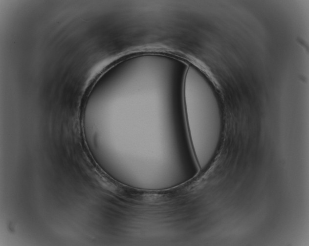 X0000093151176200709261010